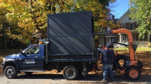 leaves.jpg leaves.jpg