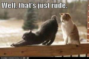 FB_IMG_16050636788002653.jpg