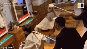 covid.gif