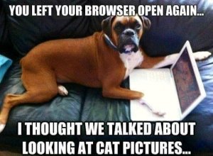 FB_IMG_16051421533235606.jpg