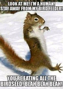 FB_IMG_16051419983804748.jpg