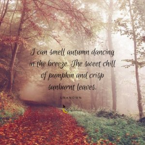 autumn-quote.jpg