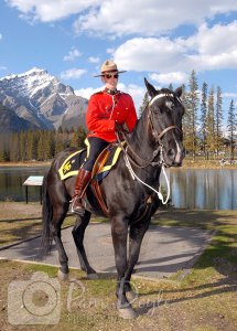 mountie_on_horse__pdoyle_web.jpg