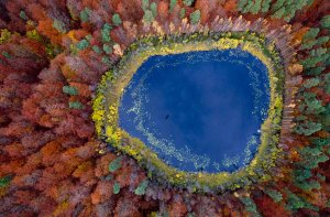 A Lake in Pomerania, Poland.jpg
