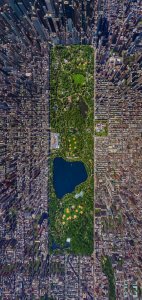 Central Park, New York City.jpg
