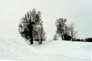 w1.jpg