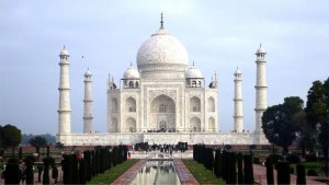 india5.jpg