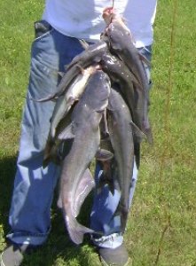 Untitled.jpg Untitled.jpg