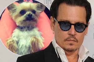 MAIN-johnny-depp.jpg