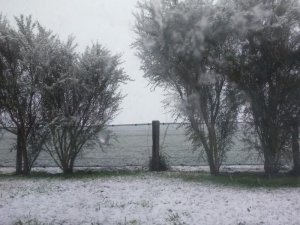 snow_in_tikokino__central_hawkes_bay_Master.jpg