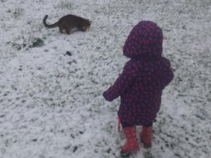 a_child_and_a_cat_in_the_snow_in_tikokino__central_hawkes_bay_Master.jpg
