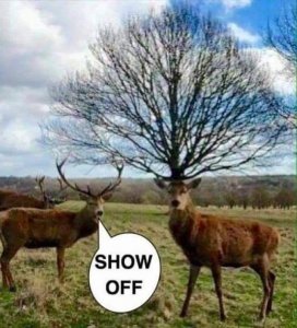 FB_IMG_1604896014706.jpg