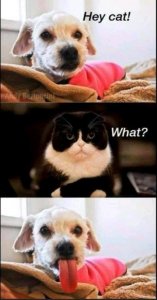 FB_IMG_16052357986294425.jpg