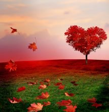 bigstock-Tree-of-love-in-autumn-Red-he-147880418-e1481205827337.jpg