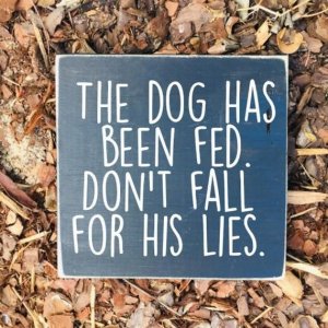 The Dog Has Been Fed Sign _ Dont Fall for Lies Sign _ Funny Dog Sign _ Wooden Sign _ Dog Sign...jpeg
