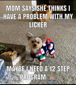 FB_IMG_16053419729058259.jpg