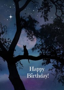 cat and moon birthday.jpg