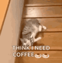 tenor (1).gif