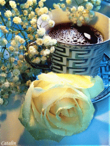 39688e96d3faad54c5606baf04c33499[1].gif