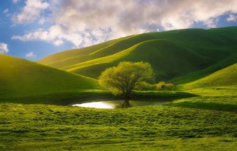 nature.jpg
