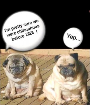 FB_IMG_16054774061603077.jpg
