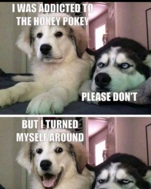 FB_IMG_16054771131017578.jpg
