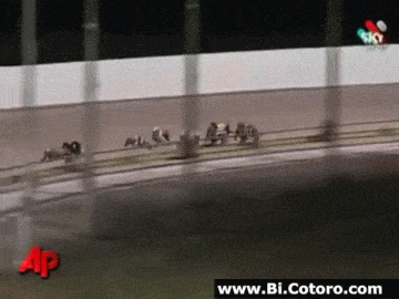 AmazingWindyIncatern-small.gif AmazingWindyIncatern-small.gif