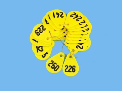 799586196_1.jpg
