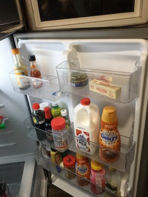 fridge 2.JPG