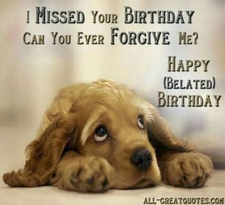 birthday dog.jpg