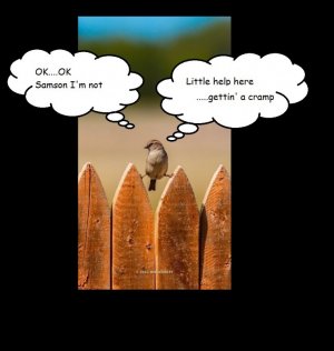 cramp.jpg
