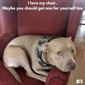 chair.jpg