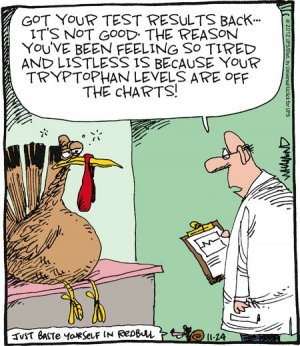 turkey funny 17.jpeg