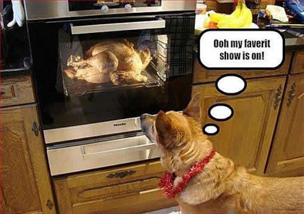 turkey funny 20.jpg