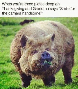 hog.jpg