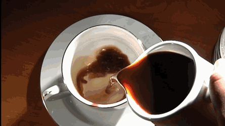 BeneficialSoreChinesecrocodilelizard-small.gif