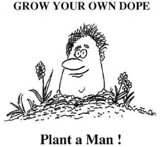Plant a man.2.jpg