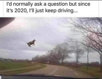 126323666_10219506925292527_2902241460621607503_o.jpg