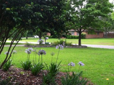 IMG_0482.JPG IMG_0482.JPG