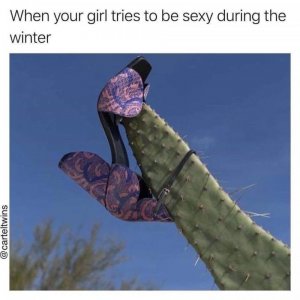 original.jpg