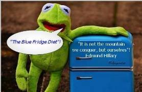 blue fridge.jpg