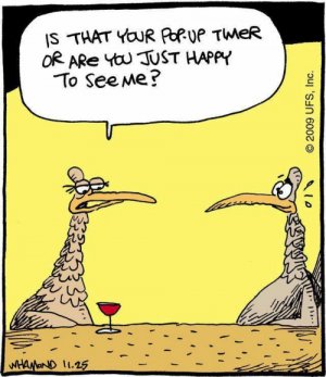 funny-turkey-cartoon-resizecrop.jpg