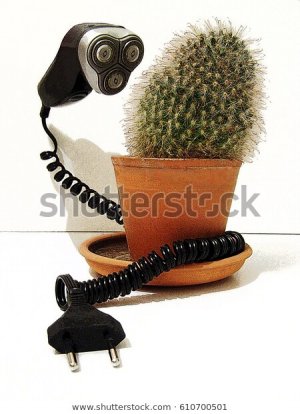 electric-shaver-cactus-joke-fun-600w-610700501.jpg