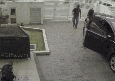 purse-stealing-fail.gif