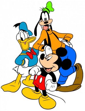 image.jpeg
