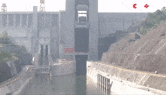 RipeAnxiousBluebreastedkookaburra-max-1mb.gif RipeAnxiousBluebreastedkookaburra-max-1mb.gif