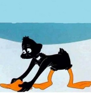 daffy's beak.jpg