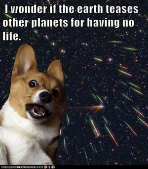 Deep Thoughts with Space Corgi.jpeg