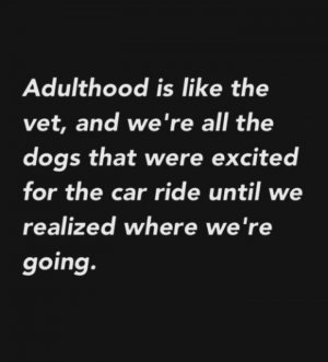 23-Funny-Adult-Quotes-Youll-Relate-If-You-Think-Adulting-Isnt-Easy-21.jpg