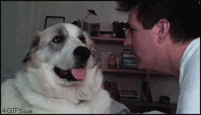 soundest-funny-animated-gifs-11.gif